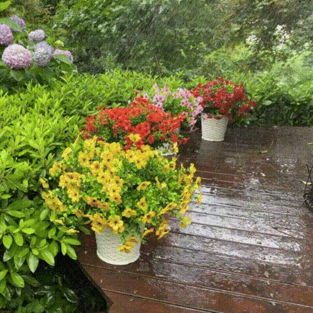 UV-Resistant Outdoor Flowers | Zero Maintenance Color | 50% OFF Today