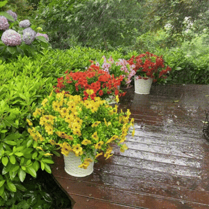 UV-Resistant Outdoor Flowers | Zero Maintenance Color | 50% OFF Today