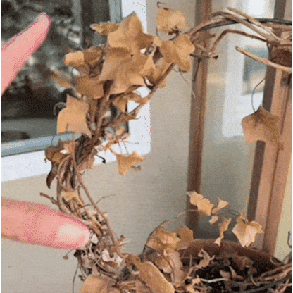 UV-Resistant Outdoor Flowers | Zero Maintenance Color | 50% OFF Today